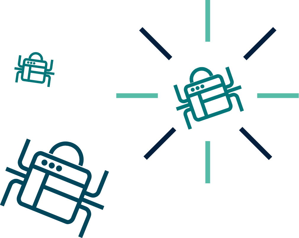 API security bugs graphic