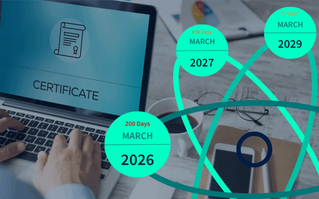 200 day cert quantum tangle desk